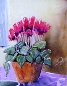 	39. Cyclamen by Diane Poole.JPG	